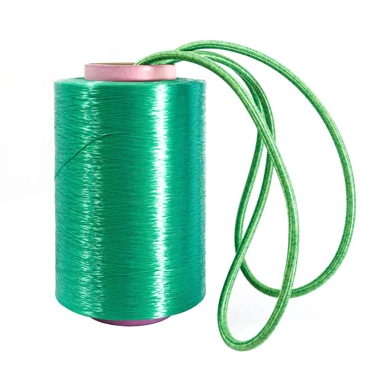 Panimula ng Polyester Industrial Yarn